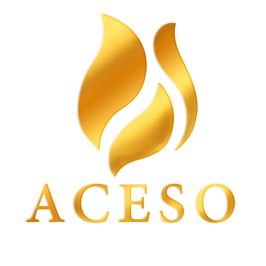 acesovietnam.com